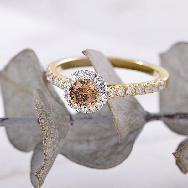Australian Argyle Chocolate Diamond, with White Halo and Shoulder Diamonds, 9ct White, Rose and Yellow Gold Engagement Ring