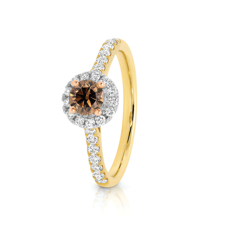 Australian Argyle Chocolate Diamond, with White Halo and Shoulder Diamonds, 9ct White, Rose and Yellow Gold Engagement Ring