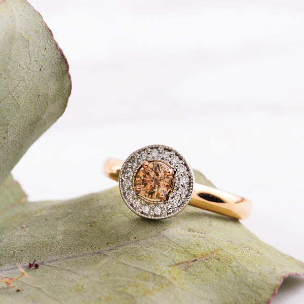 Australian Argyle Chocolate Diamond and White Diamond 9ct White and Rose Gold Engagement Ring