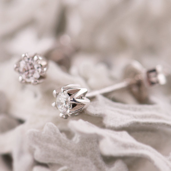 White Gold 6 claw Diamond stud