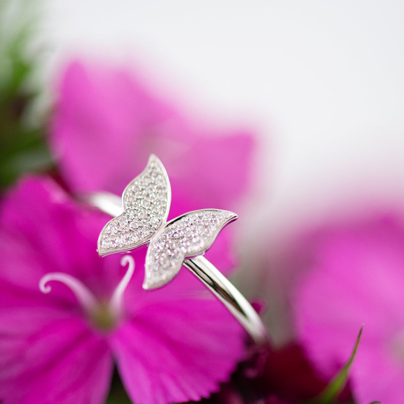 Diamond Butterfly Ring in 9k White Gold