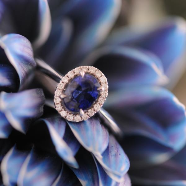 Sapphire and Diamond Halo 18K White Gold Ring