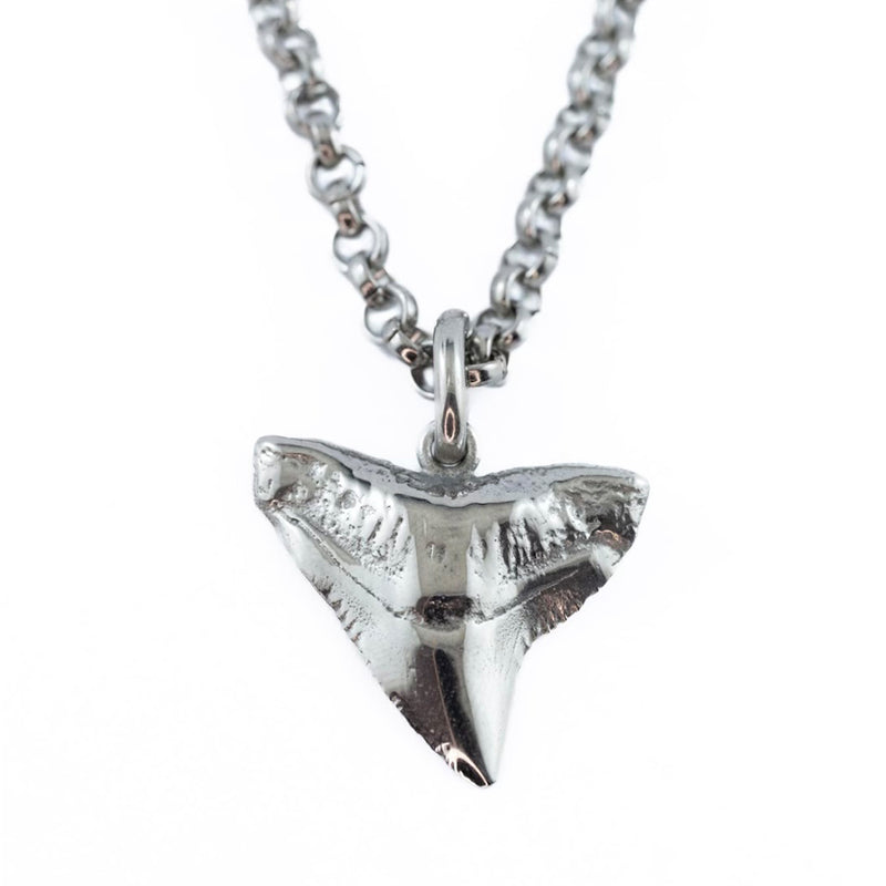 Stainless Steel Tooth Pendant and Belcher Chain