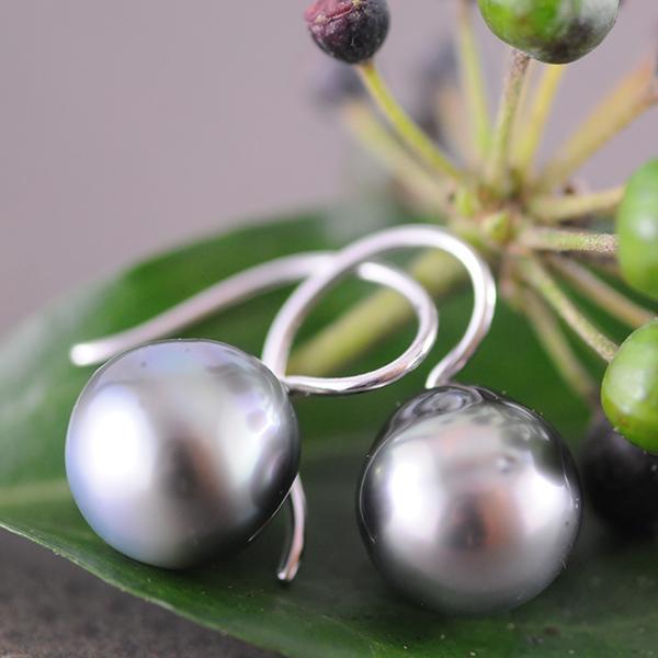 Tahitian Pearl Earrings with Fixed Shepherd Hooks